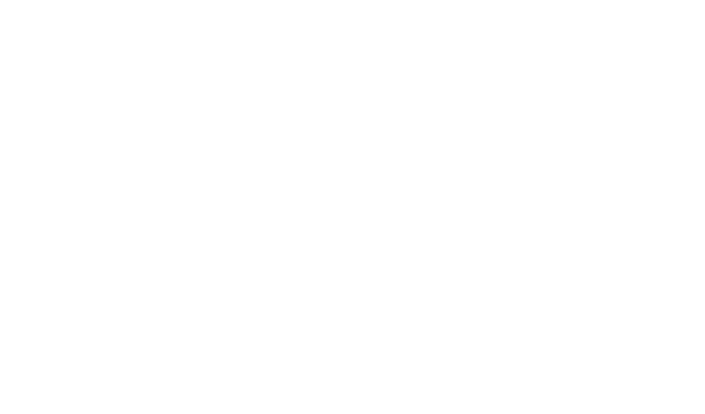 Leads Pro Black transparent (2)